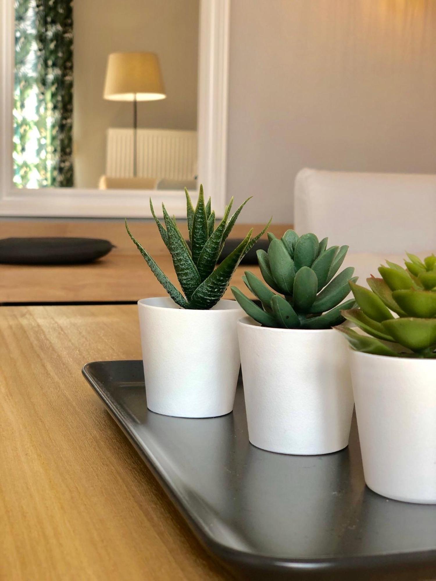 M&s Design House Apartment *